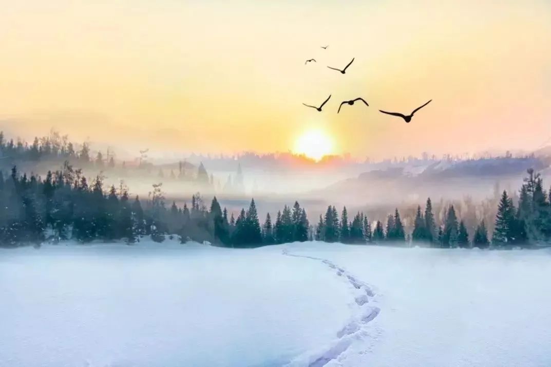 雪后晚晴四山皆青惟东山全白赋最爱东山晴后雪二绝句.jpg