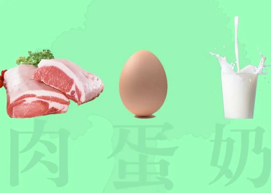 肉蛋奶.jpg