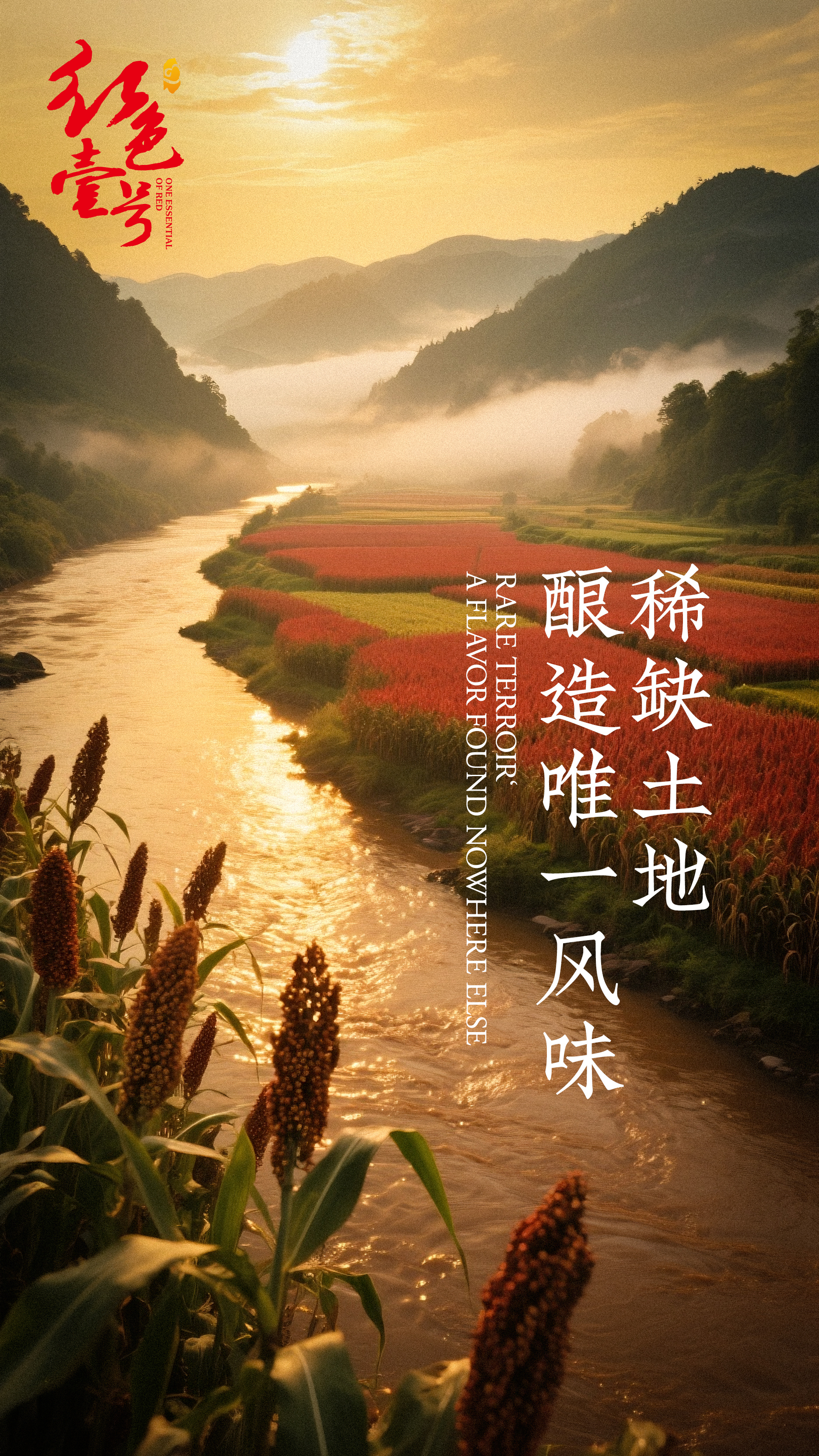 后消费时代硬通货：酱酒的“时间金库”属性1.jpg