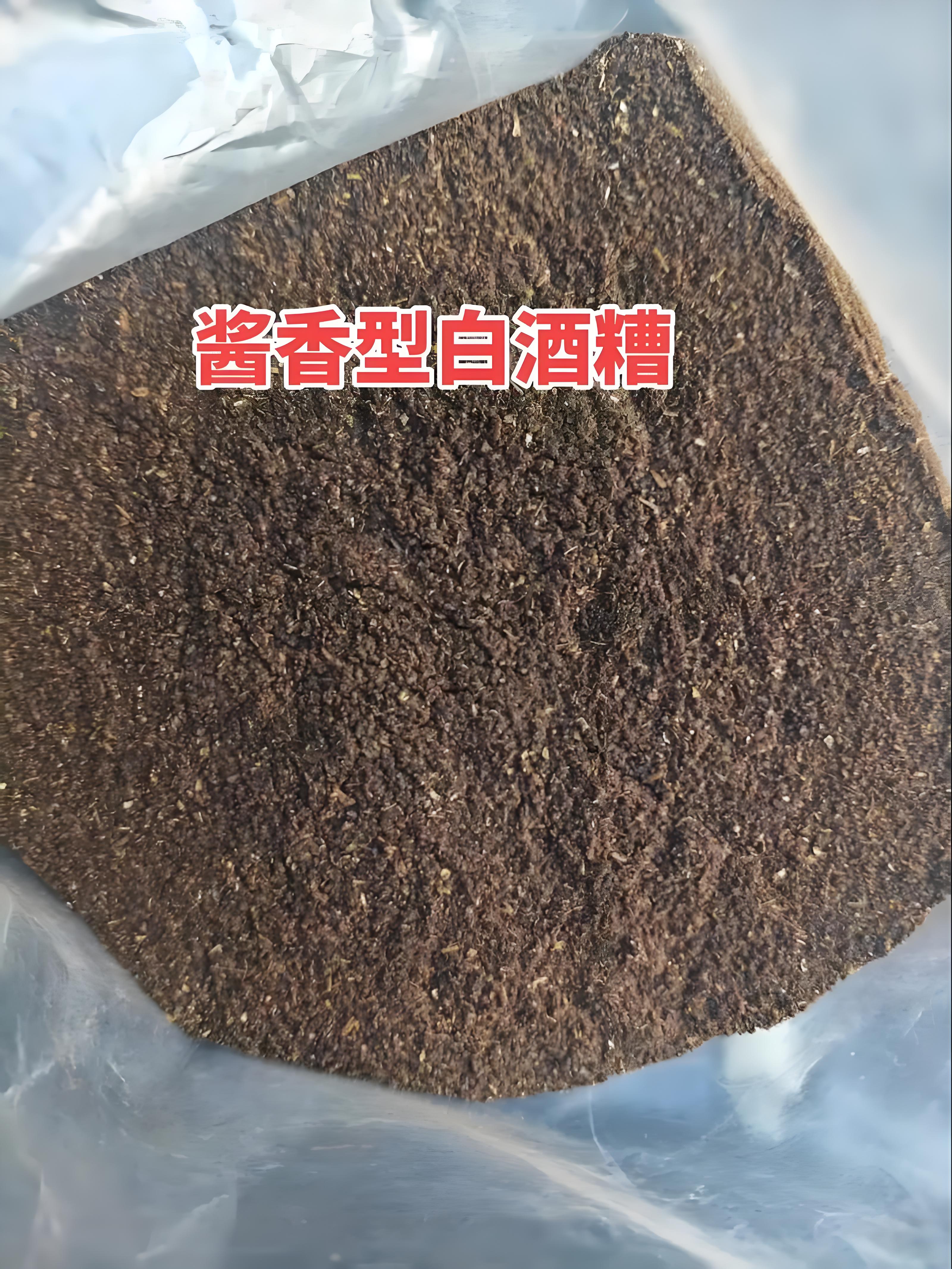 酱香白酒酒糟.jpg