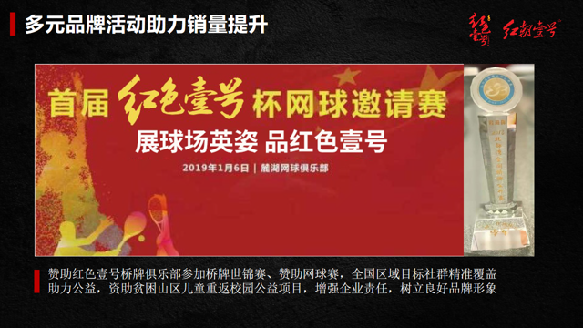 公司简介(图12)