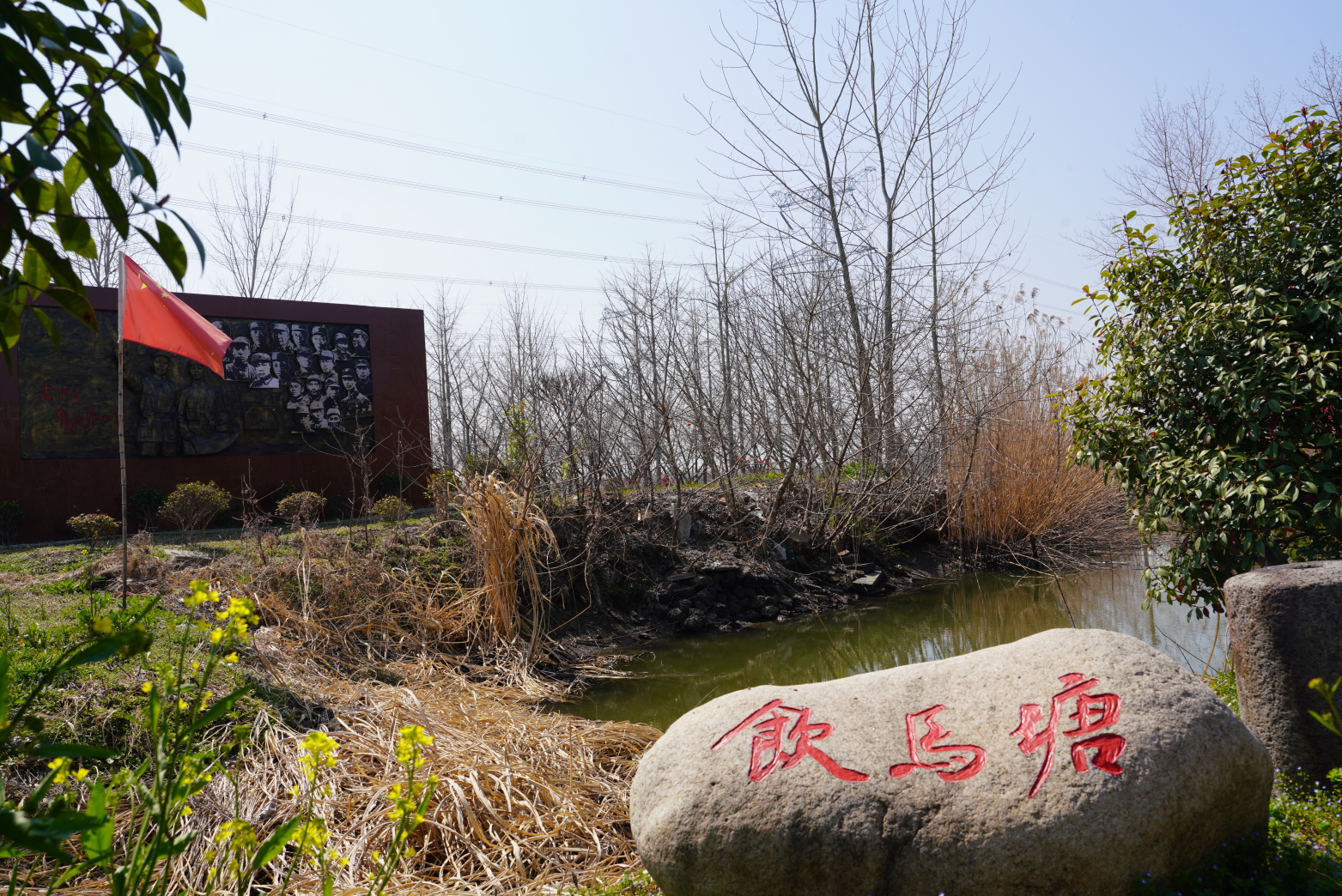 寻找“黑将军”(图3)