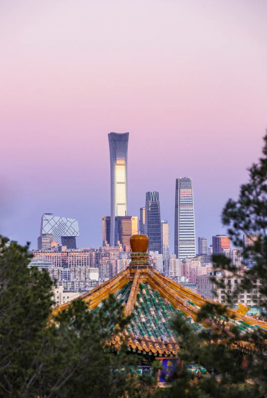 中国尊与飞机(图6)