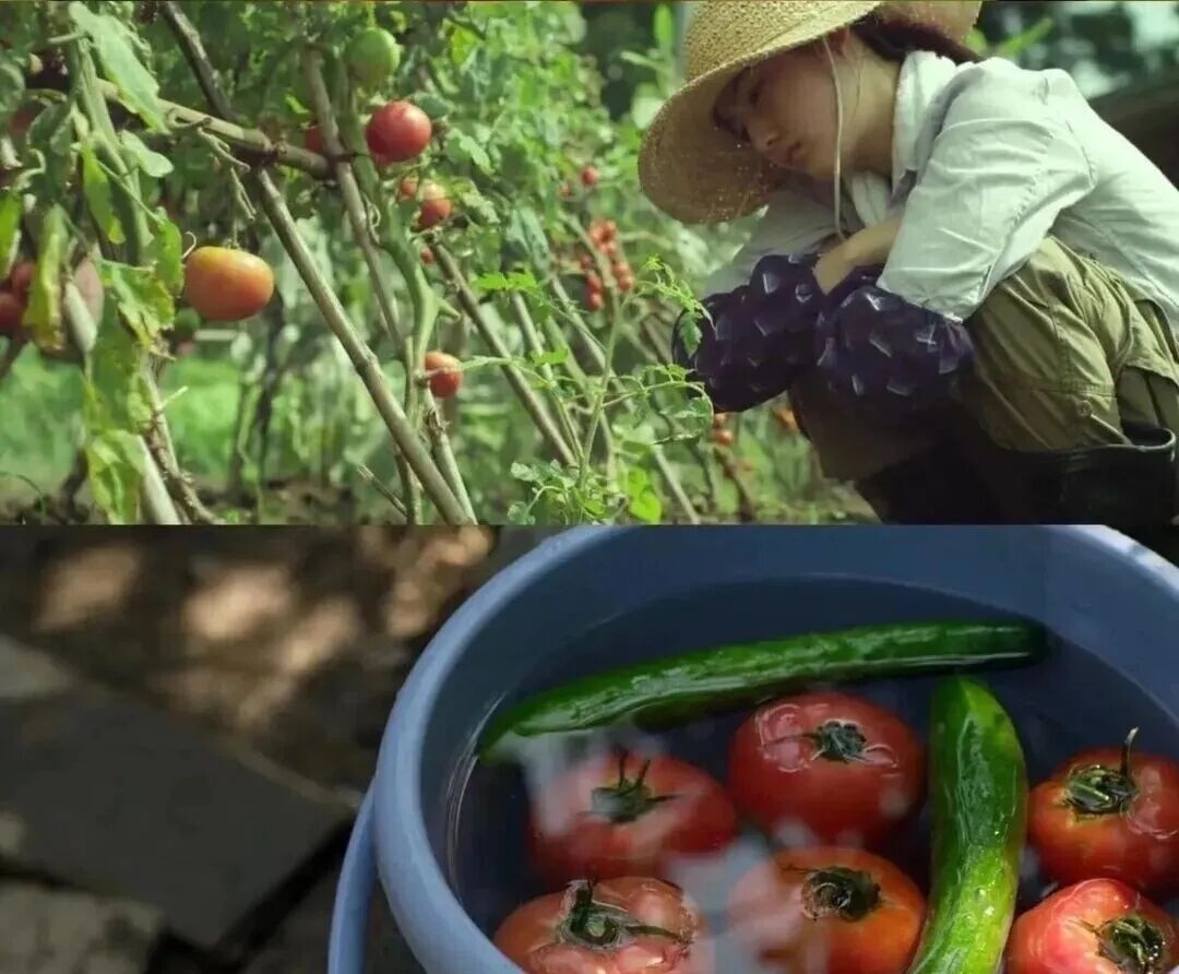 蔡澜：一个家庭，如果做饭不用心，对吃的不讲究，甚至特别舍不得吃，那这个家庭，大概率是没有什么和气，财气与朝气的......(图4)