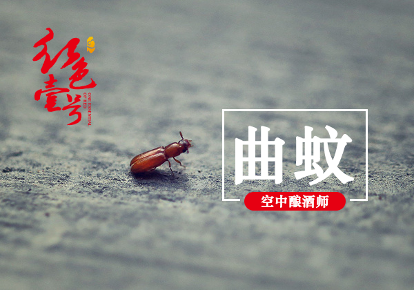酱香型"堆积发酵"这步做不好，整批酒直接废掉(图8)