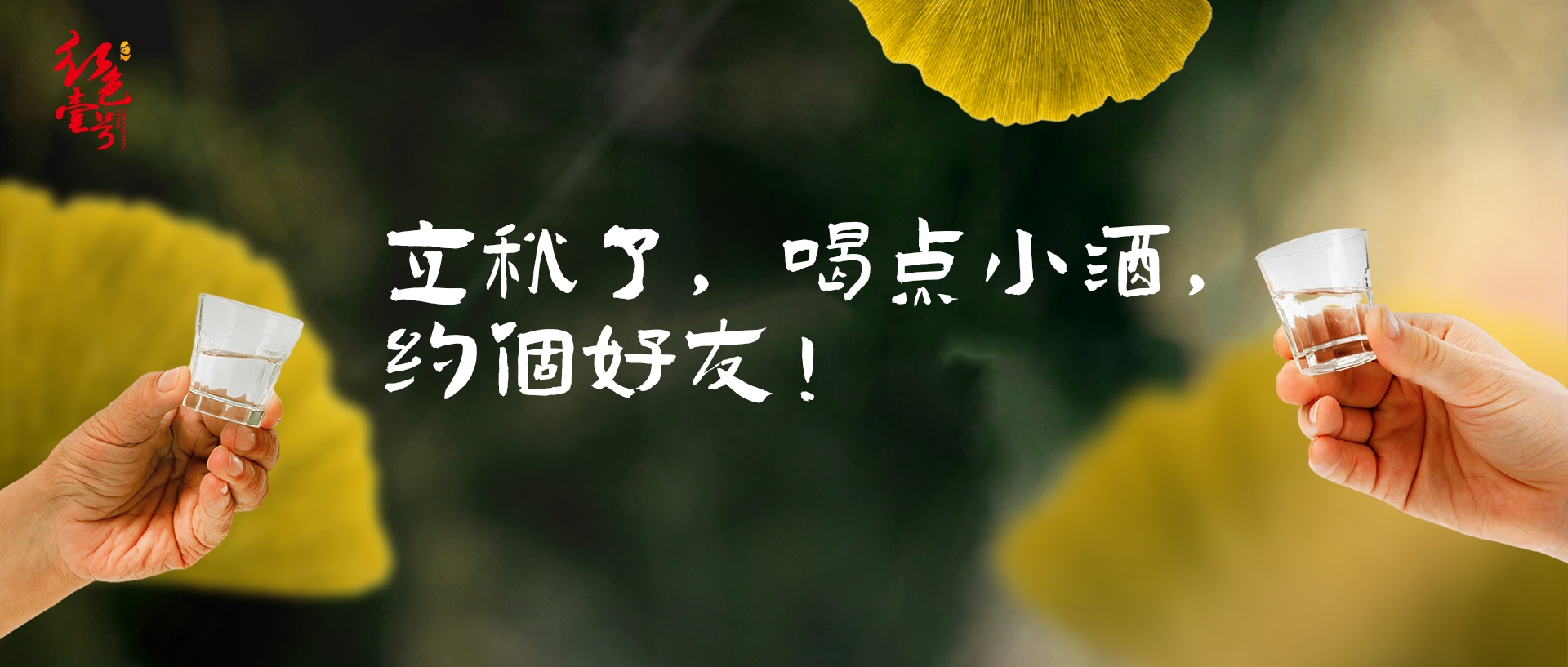 飞天价格上涨！茅台酒8月7日行情价(图6)