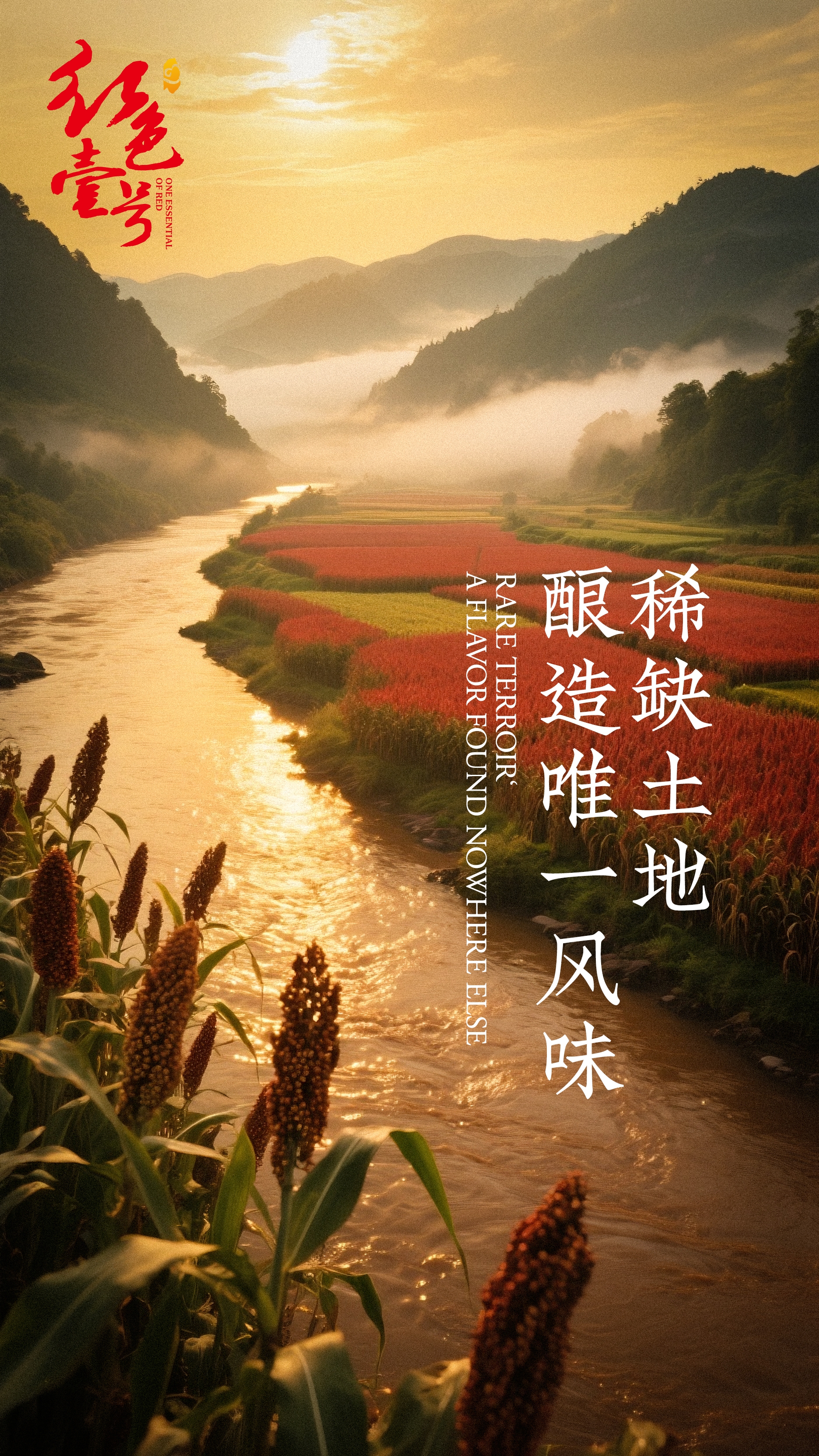 科普｜看懂酱酒曲药黑白黄，终于明白好酒的差距在哪(图1)