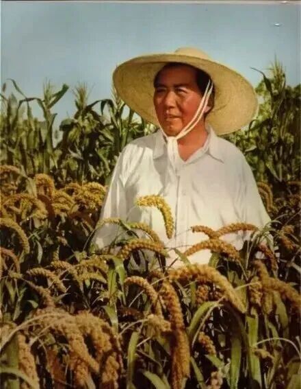 图片 今天,我们一起缅怀伟人毛泽东!(图20)