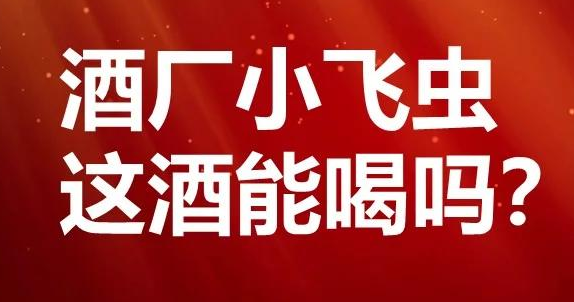 为什么酒杯引来小飞虫，老酒友却说：这才是正宗纯粮酒的表现(图1)
