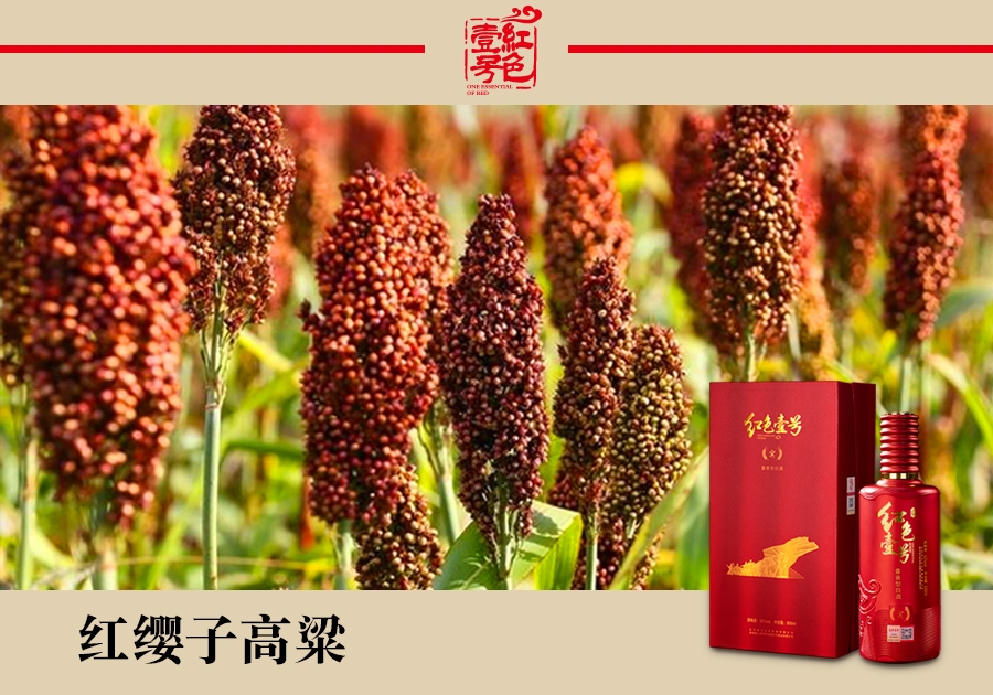 为什么市面上的酿酒原料大多以高粱为主，而不是大米和小麦呢(图1)