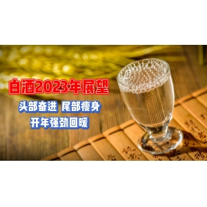 中国白酒行业现状及未来展望
