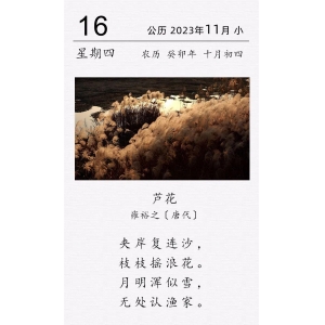 雍裕之《芦花》