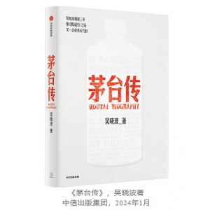 学腾讯还是学茅台？