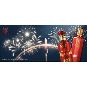 举起2024年的酒杯！