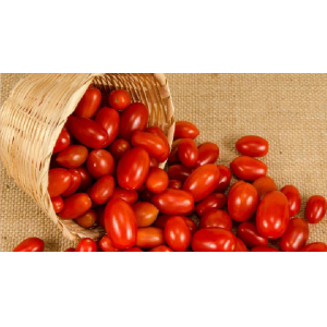 生吃西红柿有什么好处可以减肥吗？
