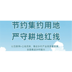 全国土地日：聚焦耕地保护政策，守护国家粮食根基