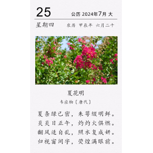 韦应物《夏花明》