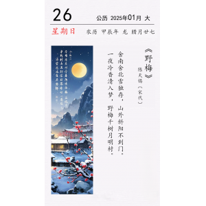 陈天锡《野梅》