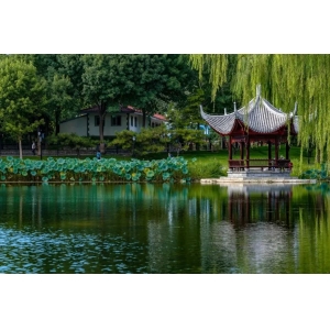 8首夏夜诗词：我在等风，也等你