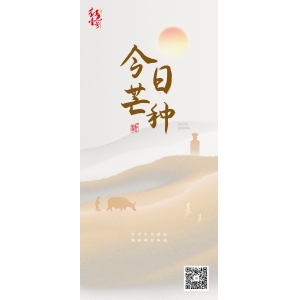芒种：谷物之芒，生命之光 