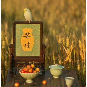唐 · 元稹《咏廿四气诗 · 芒种五月节 》