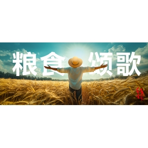 好酒风味，从一粒粮食的觉醒说起