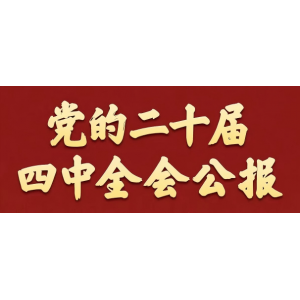 党的二十届四中全会公报一图速览