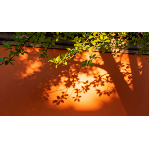 岁月很长，我们慢慢走