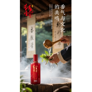 喝酒的快乐，你属于哪个梯队