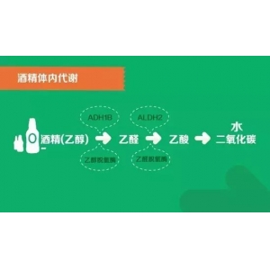 99%的人不知道的酒知识