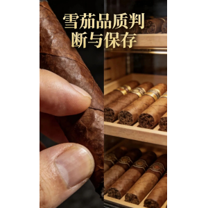 四个雪茄入门必知的知识