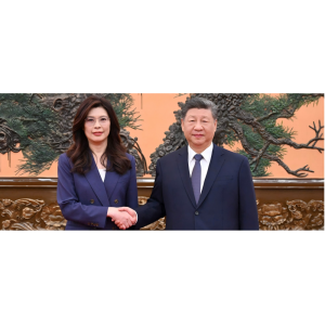 习近平总书记会见中国国民党主席郑丽文