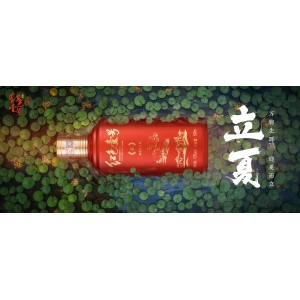 酒文化与健康生活 | 立夏话酒：从业者告诉你，酱酒怎么喝才养