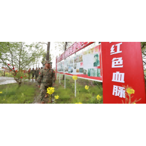 寻找“黑将军”