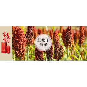 那么多粮食，凭什么就高粱是酿酒王者？