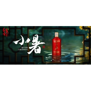 丙午小暑，顺势而为