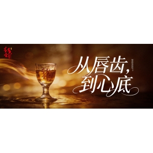 酒不好喝，唯独懂成年人的万般愁