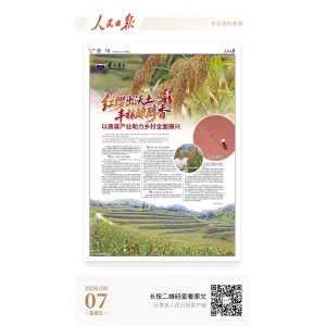 人民日报：红缨出沃土 丰穰酿醇香 以高粱产业助力乡村全面振兴