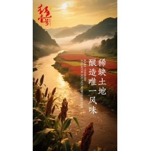 科普｜看懂酱酒曲药黑白黄，终于明白好酒的差距在哪