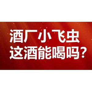 为什么酒杯引来小飞虫，老酒友却说：这才是正宗纯粮酒的表现