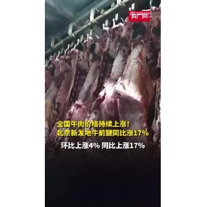 牛肉价格连涨15周！